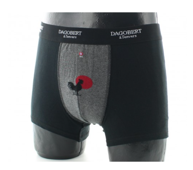 Boxer Dagobert Coq  gris / Noir